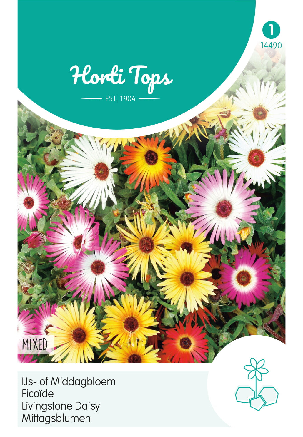 HT Dorotheanthus, IJs- of Middagbloem gemengd