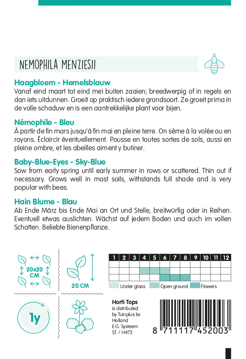 HT Nemophila, Haagbloem Hemelsblauw
