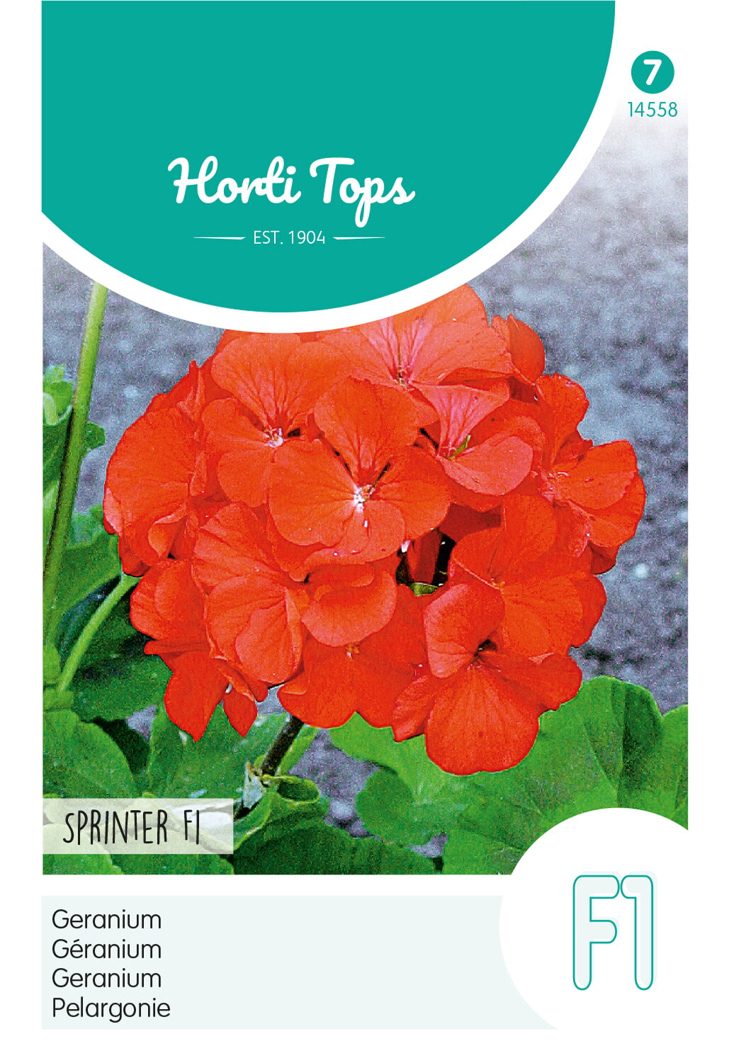 HT Pelargonium, Geranium Sprinter F1 oranje/rood