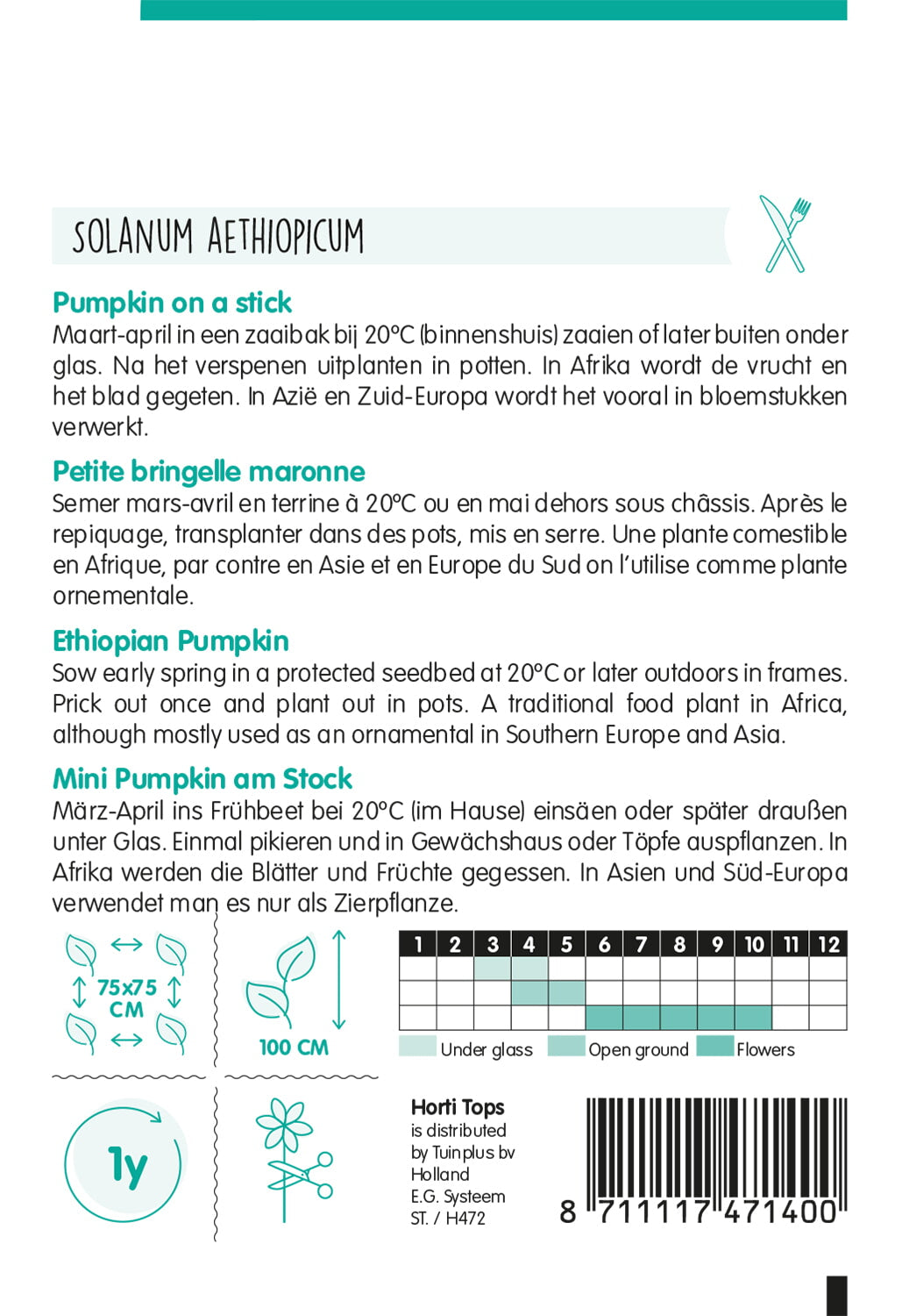 HT Solanum, Pumpkin on a stick