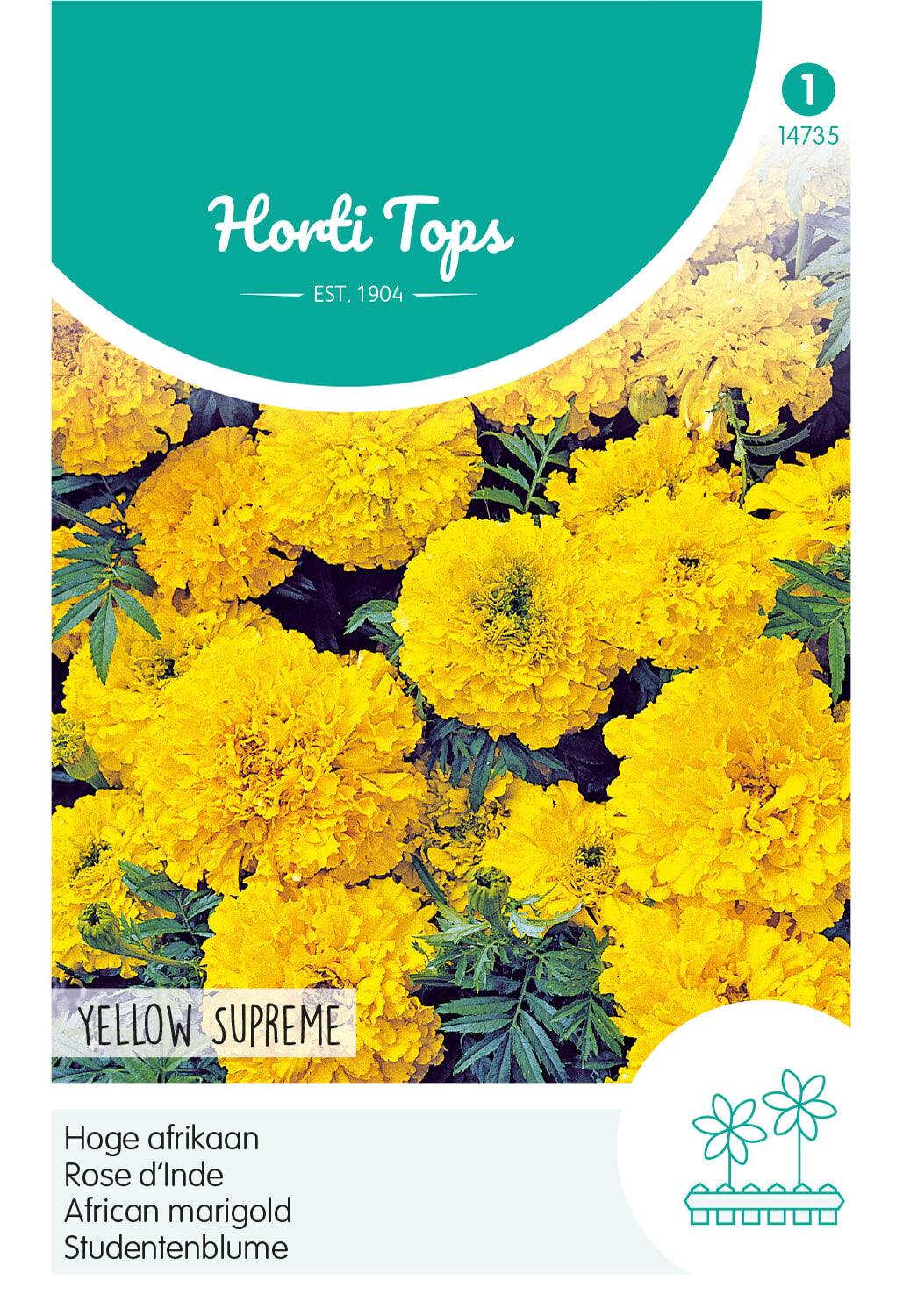 HT Tagetes, hoge Afrikaan Yellow Supreme