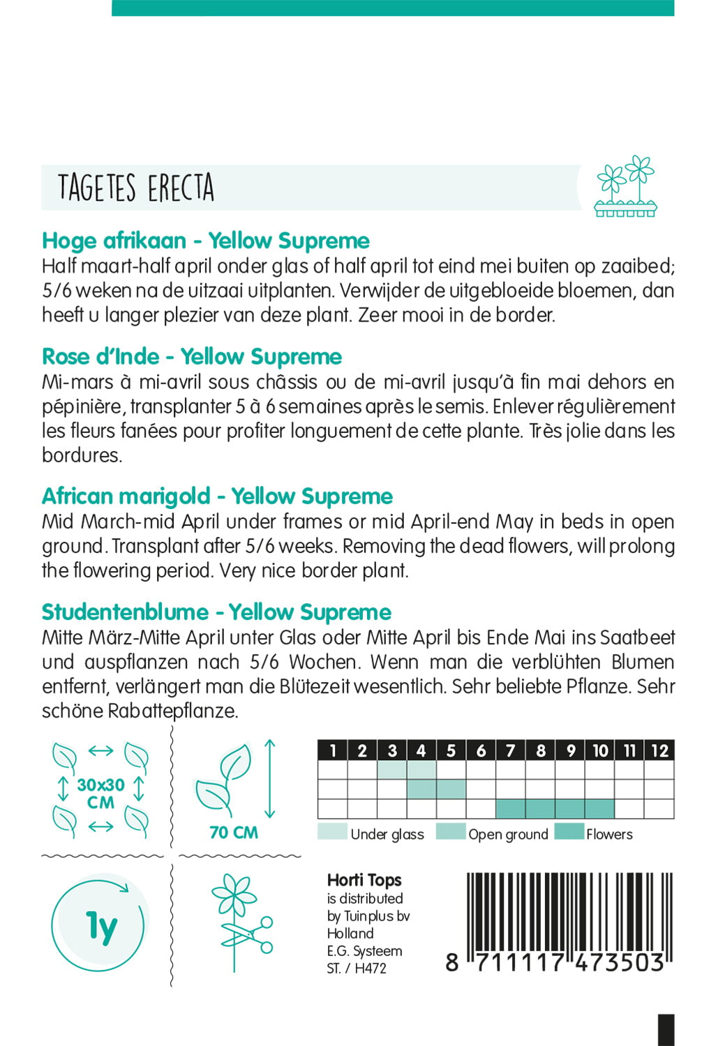 HT Tagetes, hoge Afrikaan Yellow Supreme