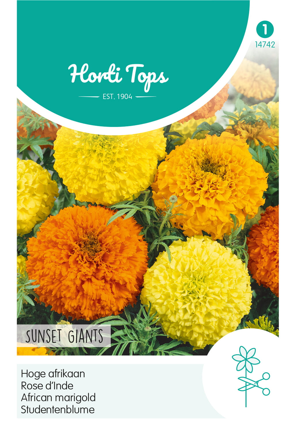 HT Tagetes, hoge Afrikaan Sunset Giants gemengd