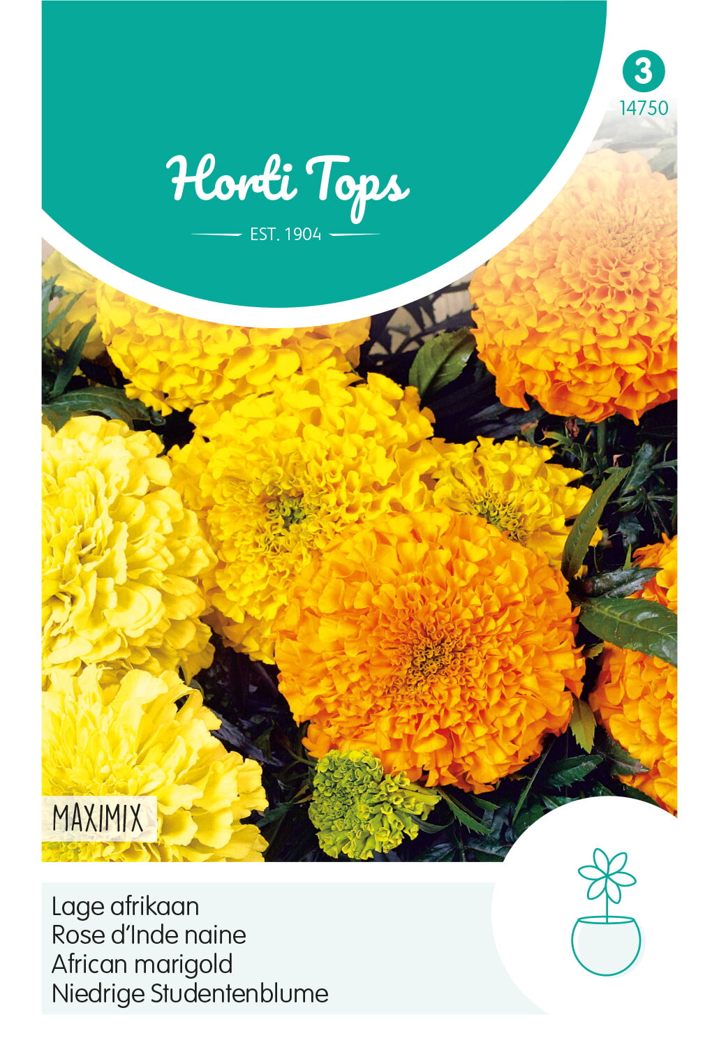 HT Tagetes, lage Afrikaan Maximix