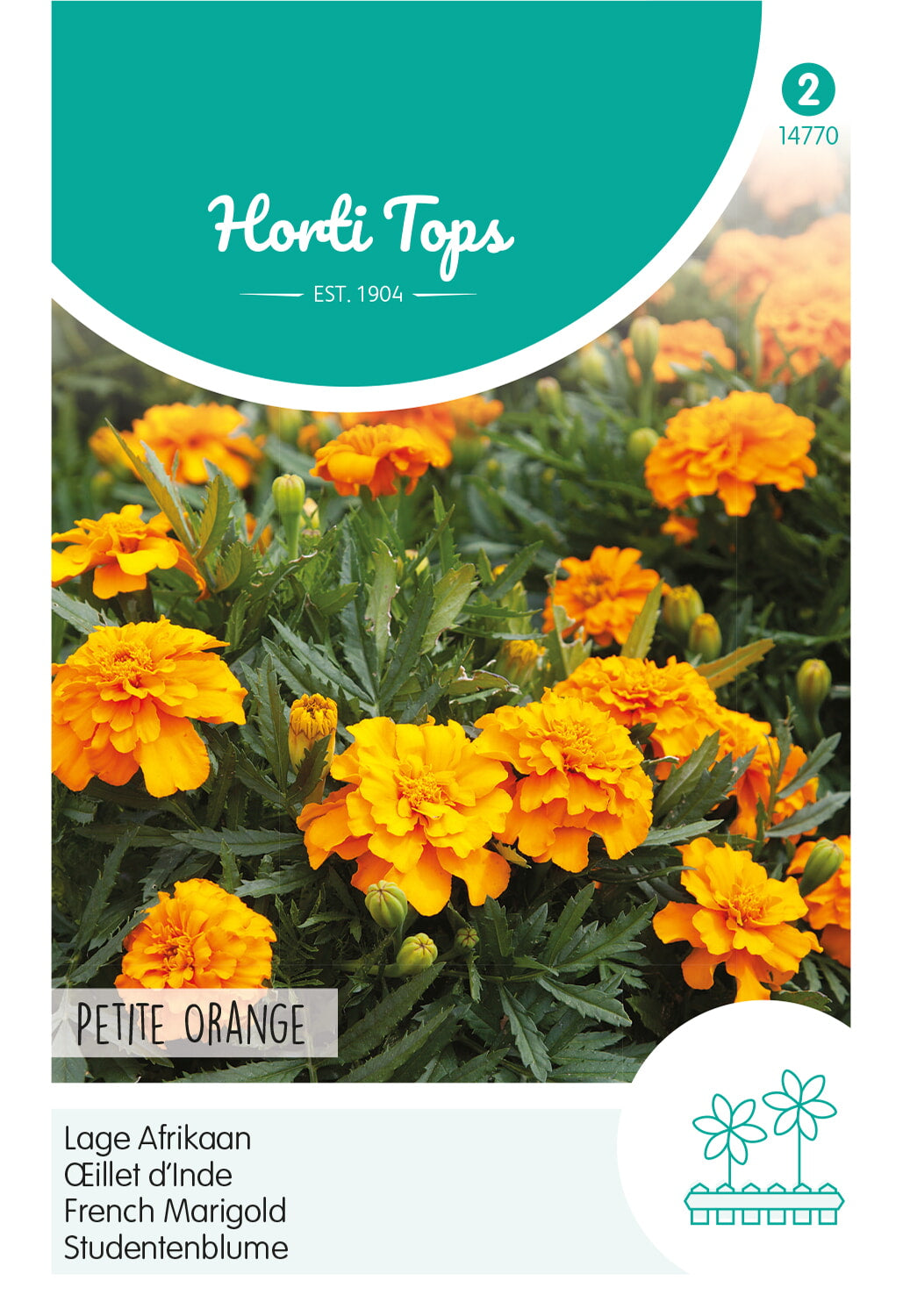 HT Tagetes, lage Afrikaan Petite Orange