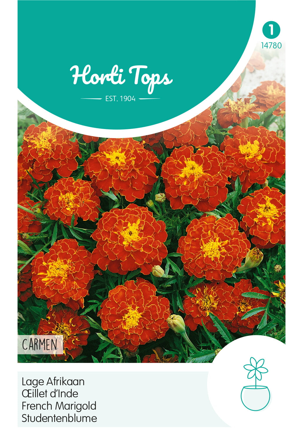 HT Tagetes, lage Afrikaan Carmen