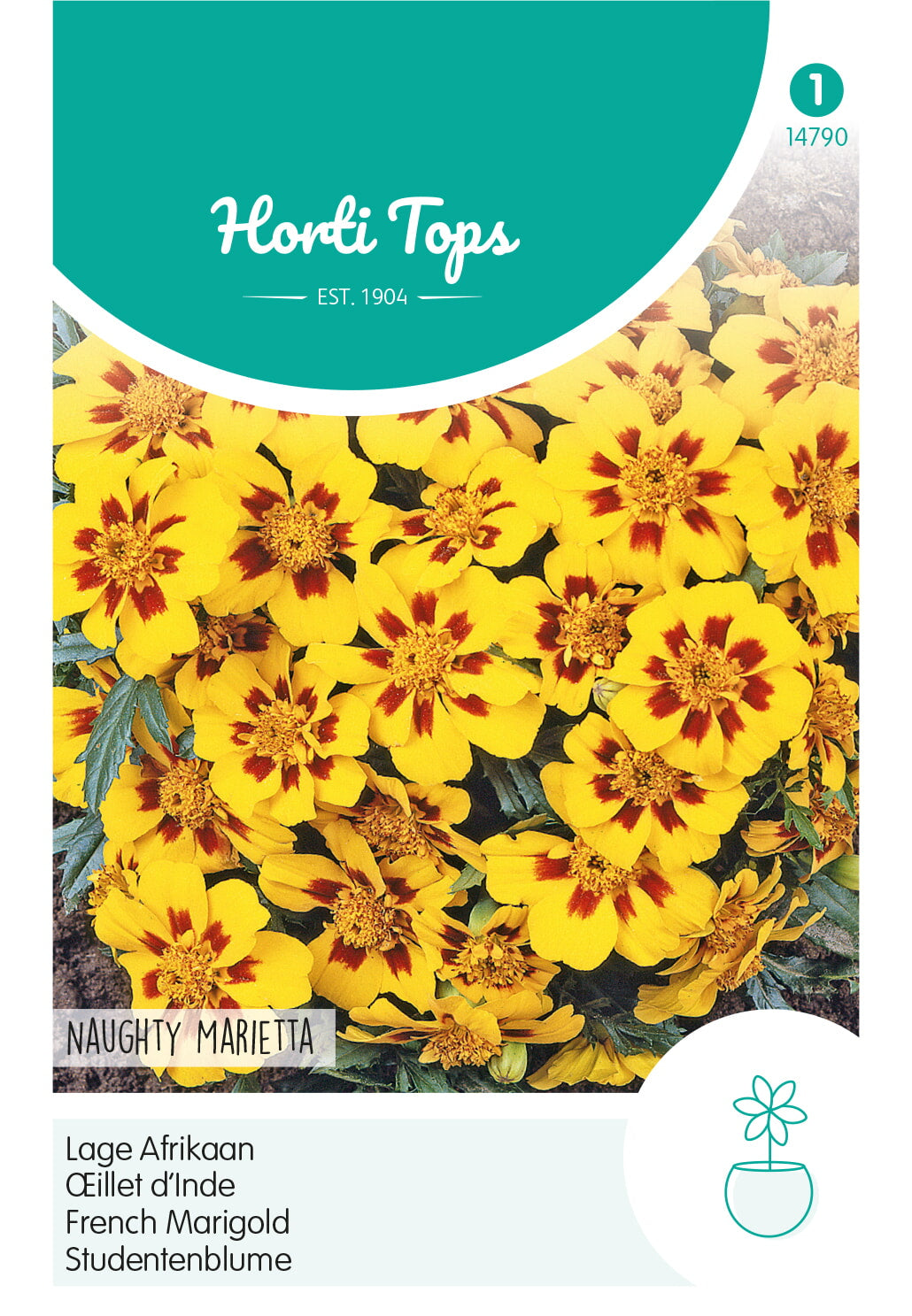 HT Tagetes, lage Afrikaan Naughty Marietta