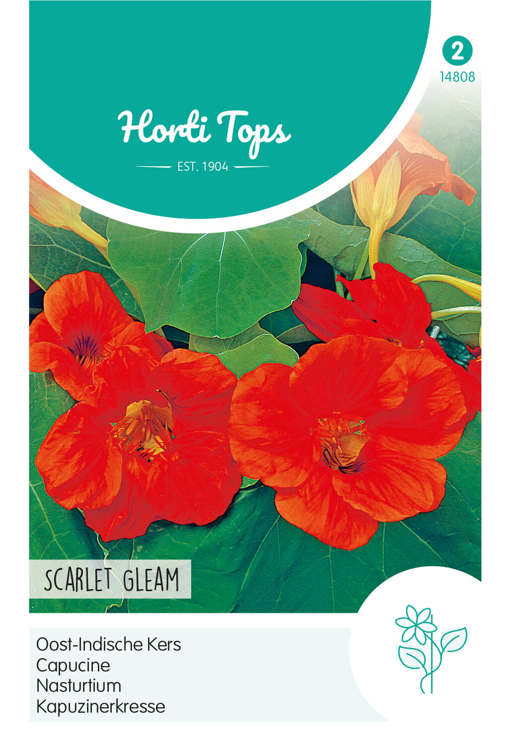 HT Tropaeolum, Oost-Indische Kers Scarlet Gleam Rood