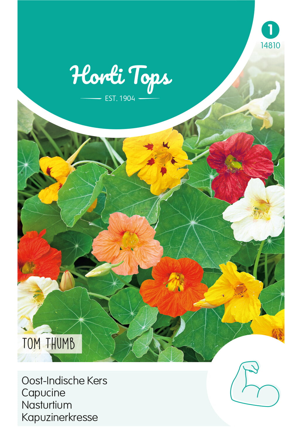 HT Tropaeolum, Oost-Indische Kers Tom Thumb