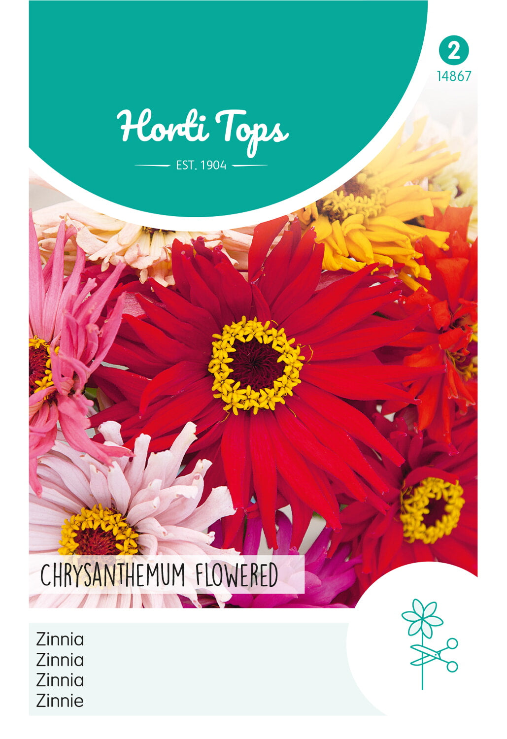 HT Zinnia Chrysanthbloemig gemengd