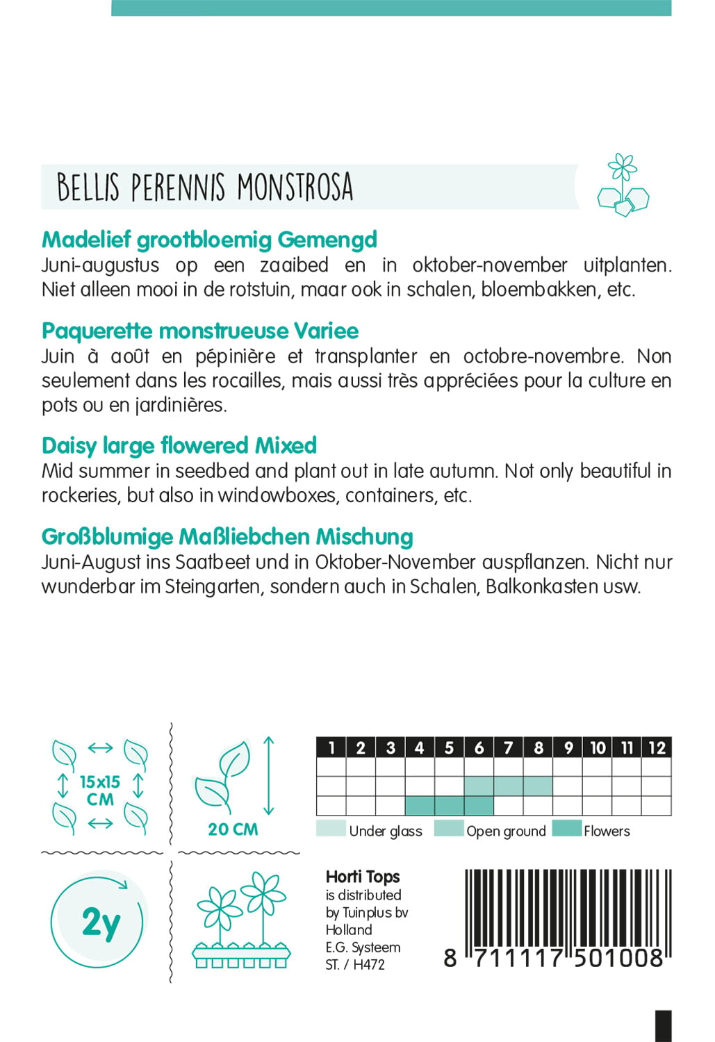 HT Bellis Perennis, Madelief Monstrosa dubbelbloemig gemengd