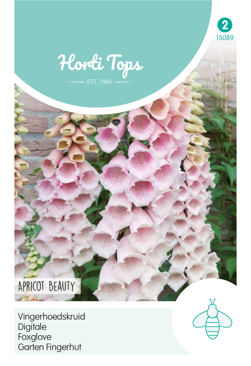 HT Digitalis, Vingerhoedskruid Apricot Beauty