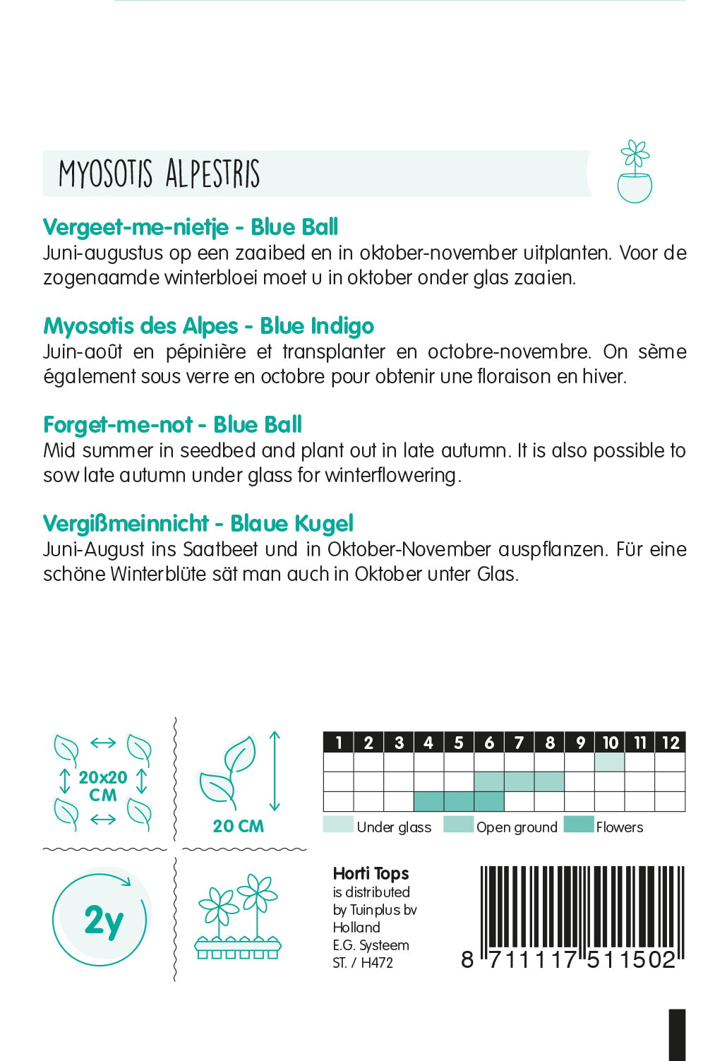 HT Myosotis, Vergeet-me-nietje Blue Ball