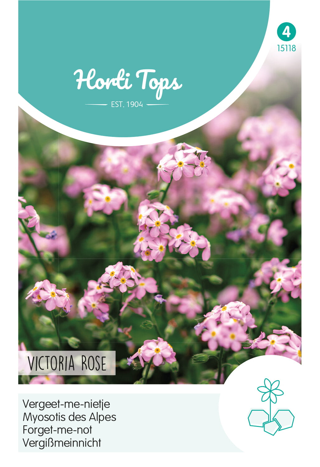 HT Myosotis, Vergeet-me-nietje Victoria Rose