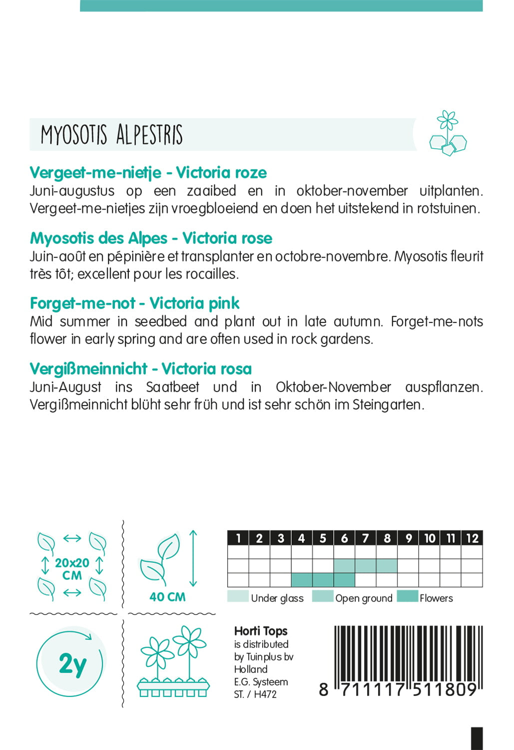 HT Myosotis, Vergeet-me-nietje Victoria Rose