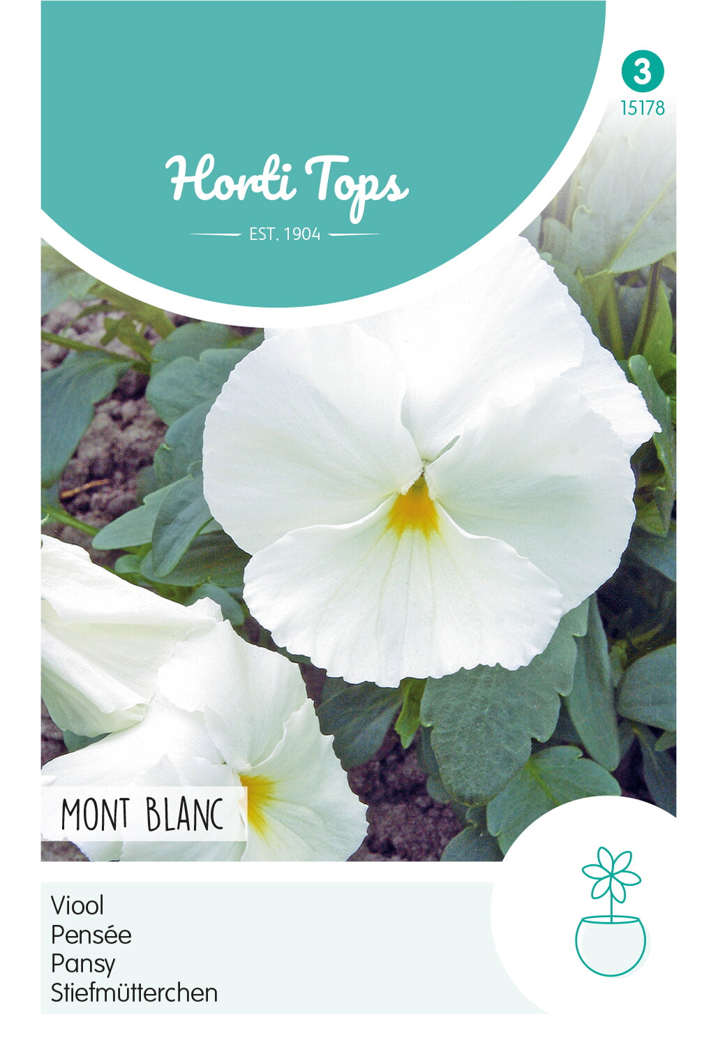 HT Viola, Viool Mont Blanc