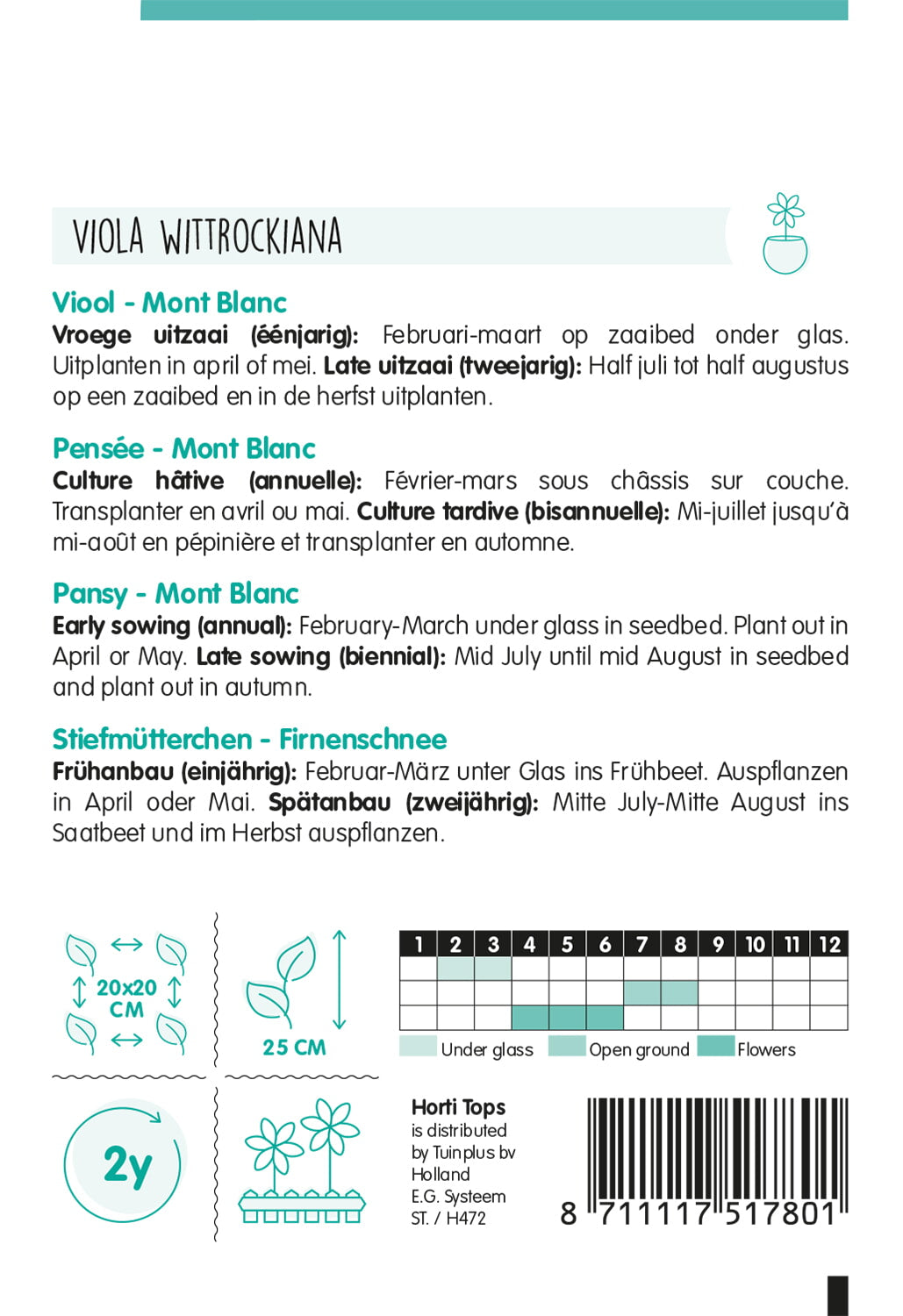 HT Viola, Viool Mont Blanc