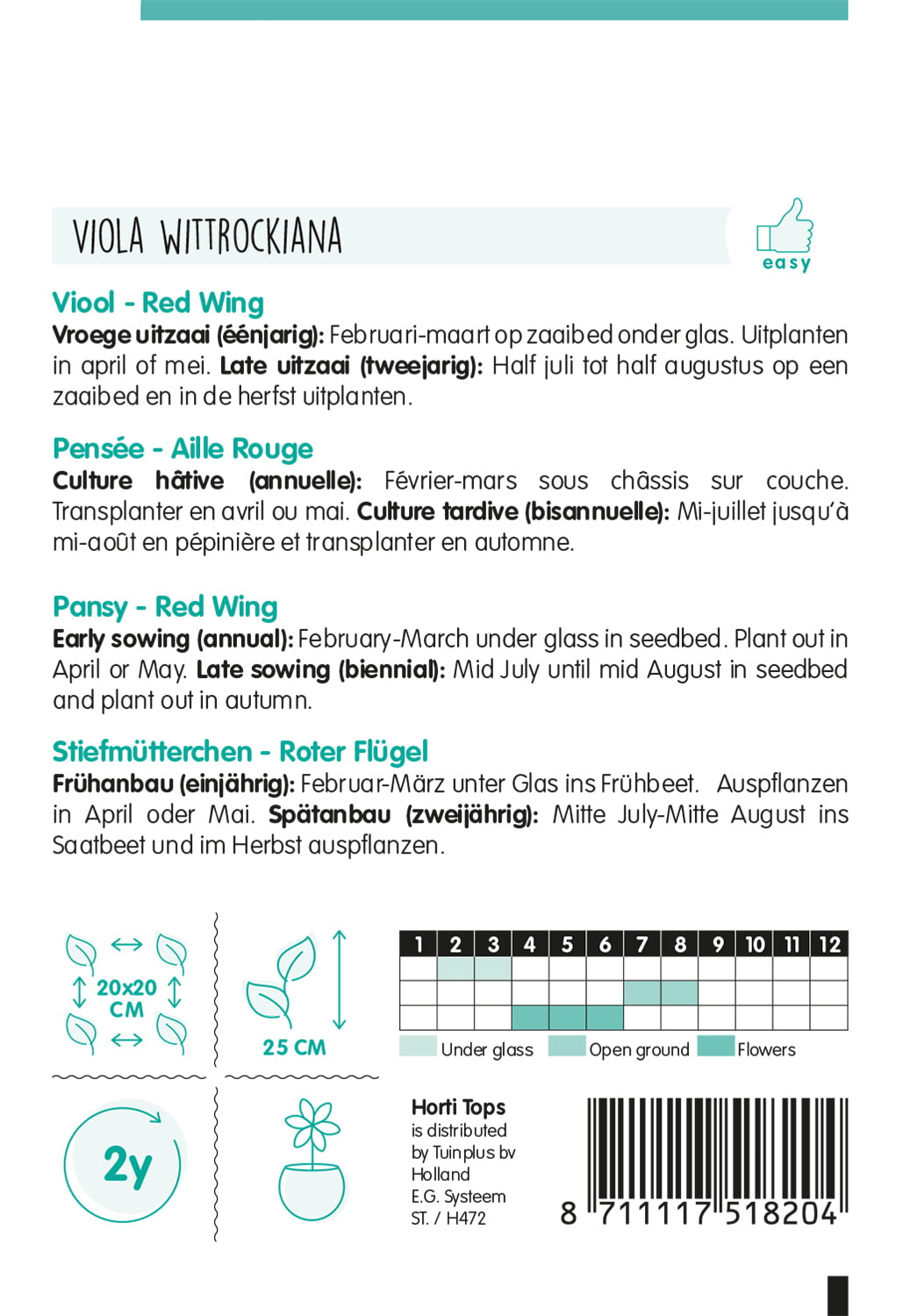 HT Viola, Viool Red Wing