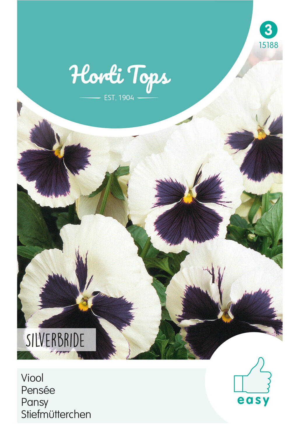 HT Viola, Viool Silverbride