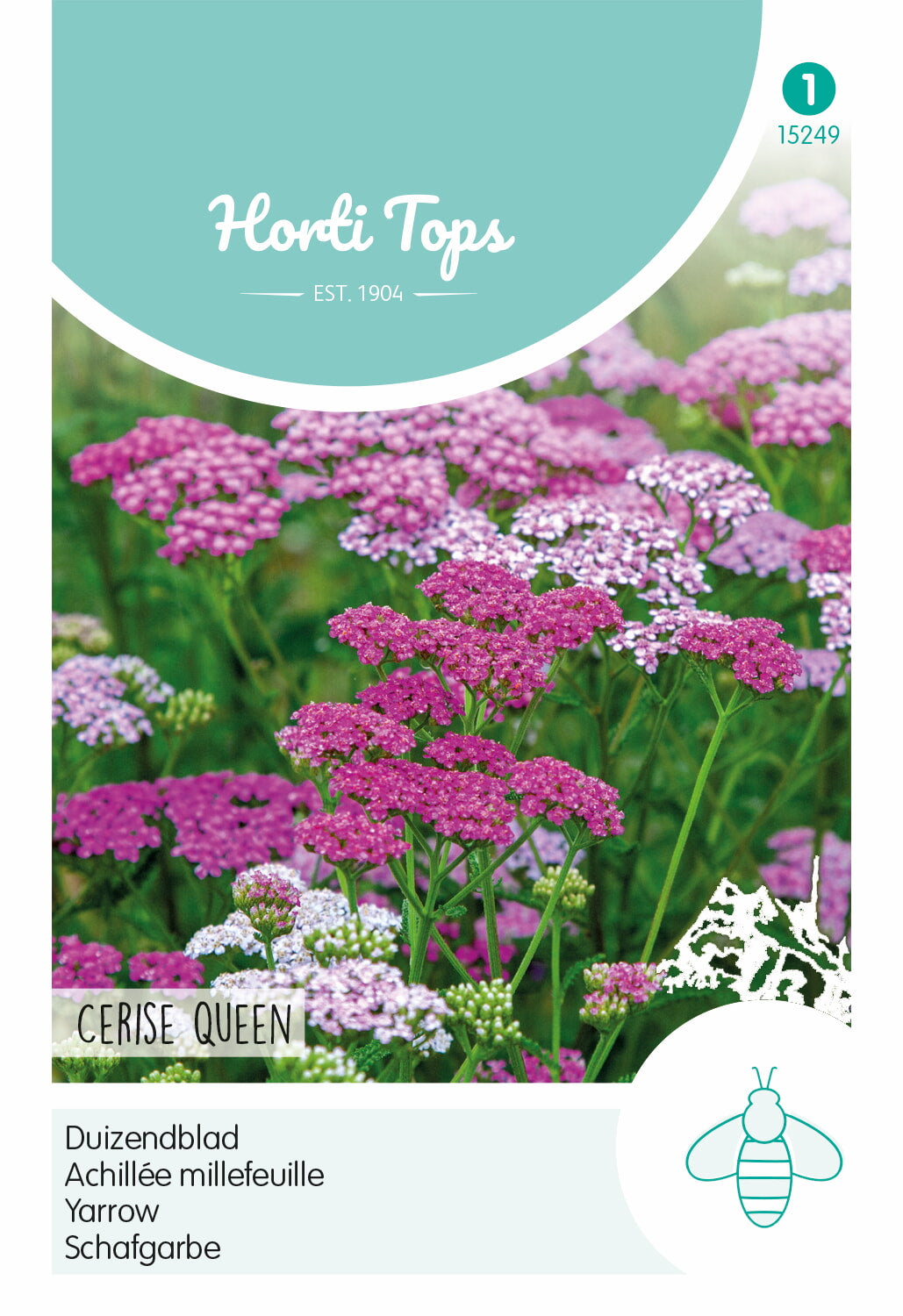 HT Achillea, Duizendblad Cerise Queen