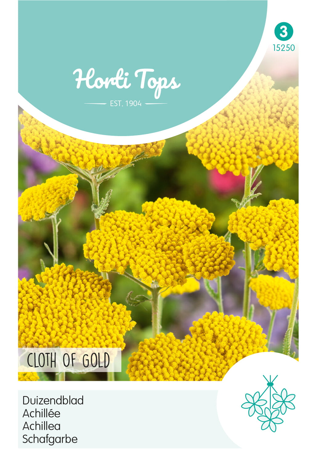 HT Achillea, Duizendblad Cloth Of Gold