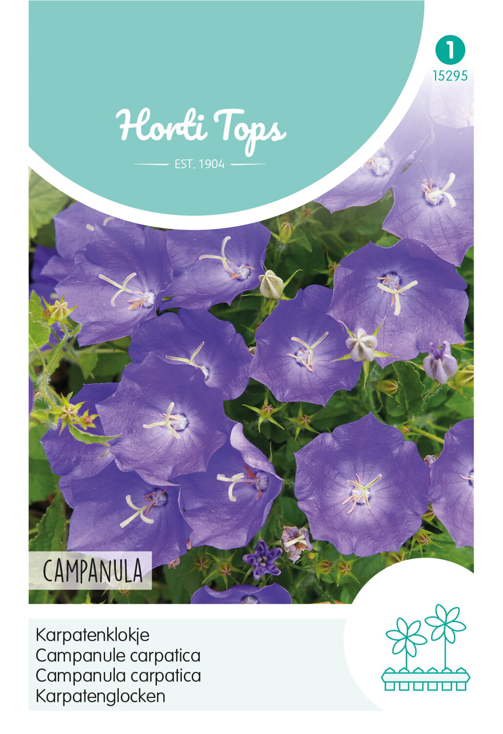 HT Campanula, Karpatenklokje blauw