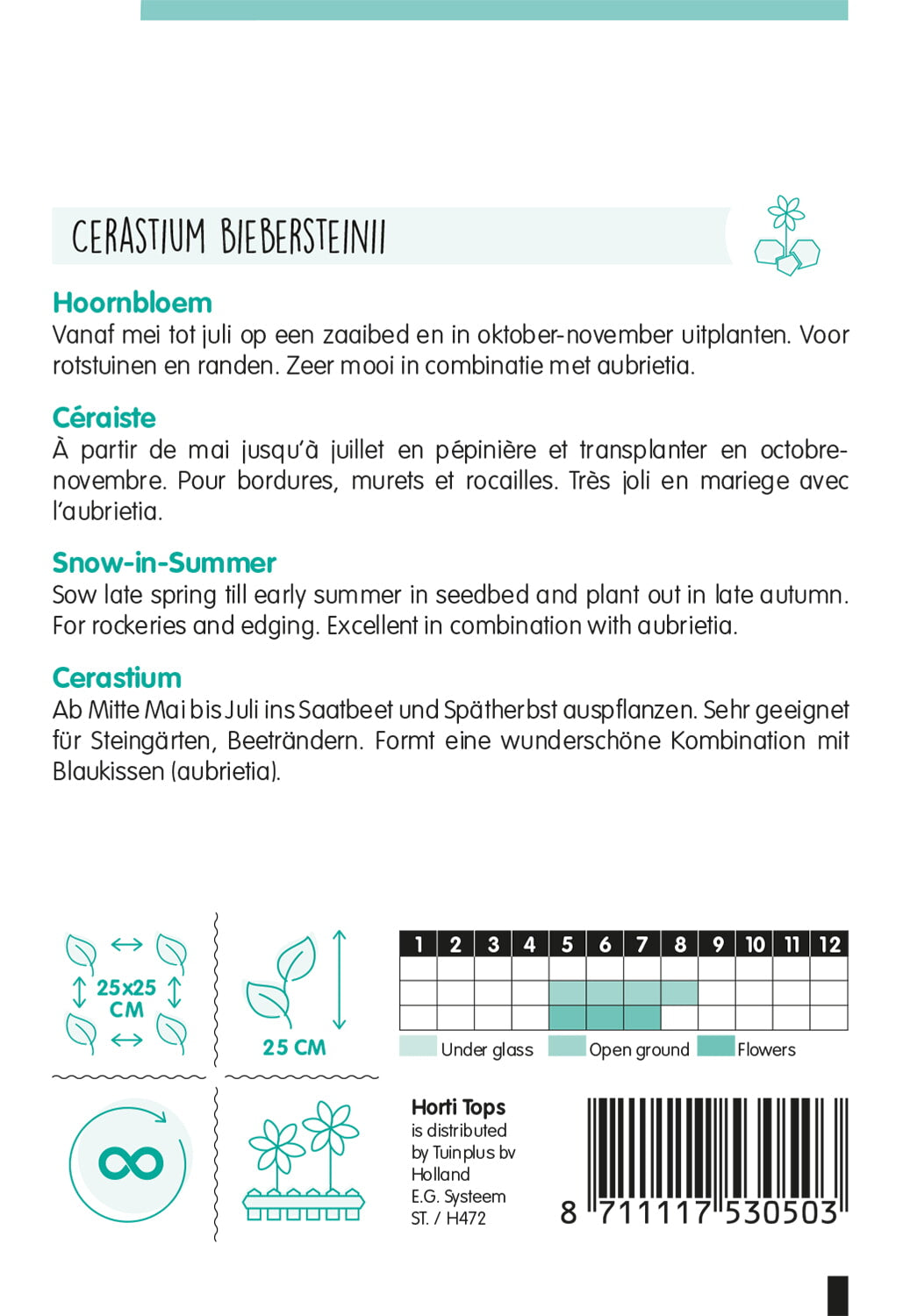 HT Cerastium, Hoornbloem wit