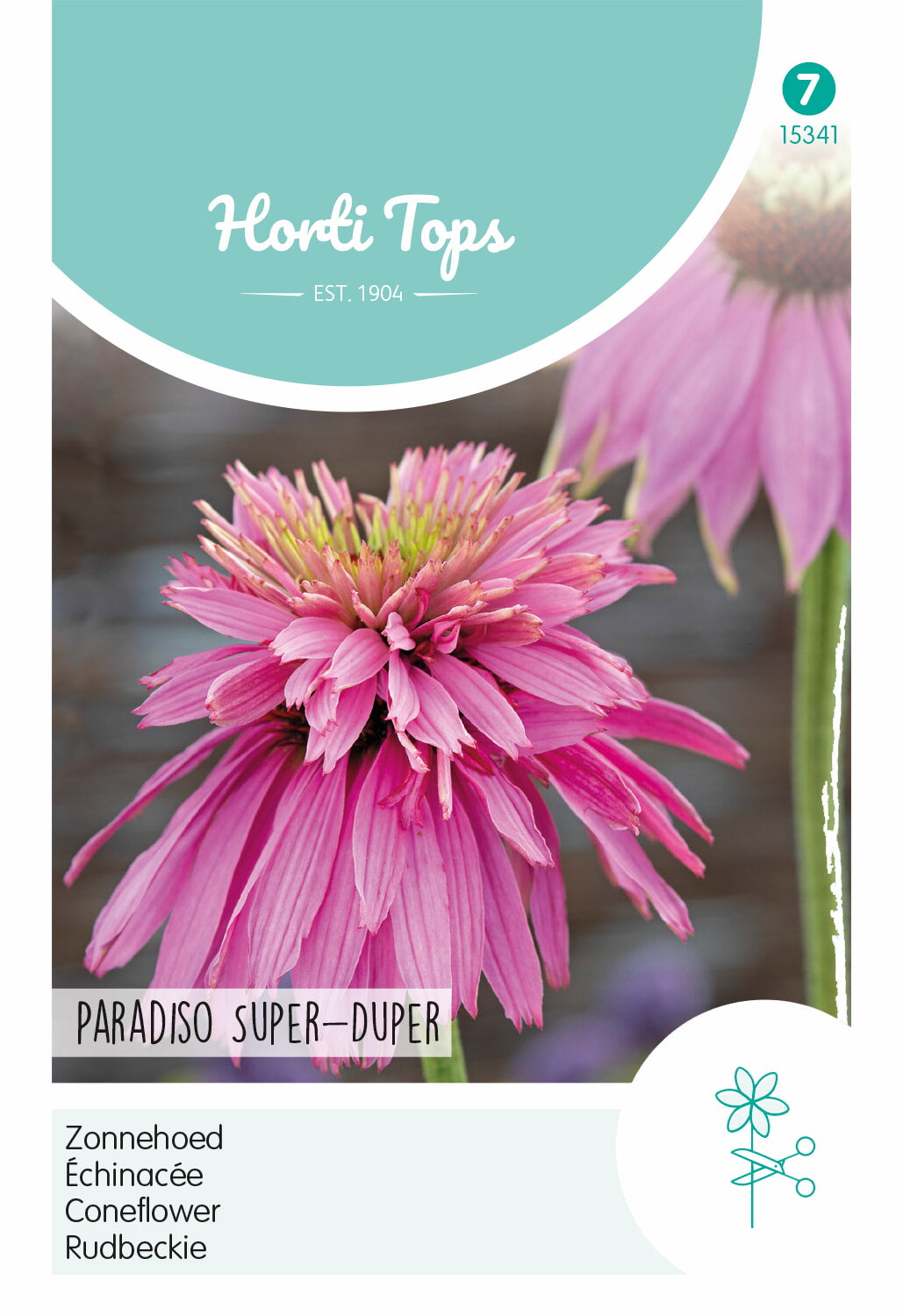 HT Echinacea, Zonnehoed Paradiso Super-Duper