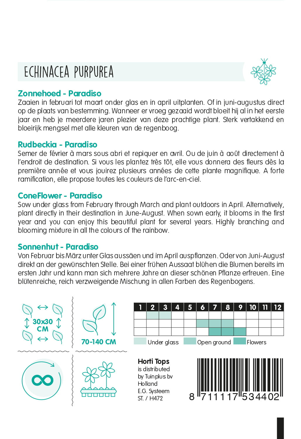 HT Echinacea, Zonnehoed Paradiso