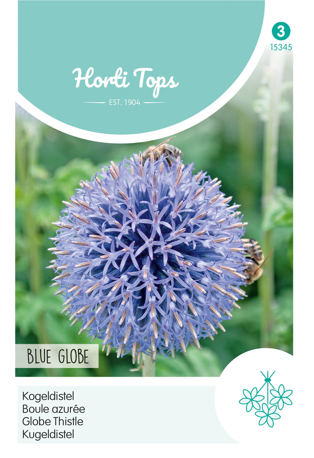 HT Echinops, Kogeldistel Blue Globe