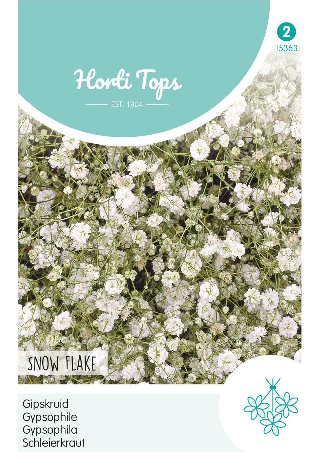 HT Gypsophila, Gipskruid Snow Flake dubbelbloemig wit