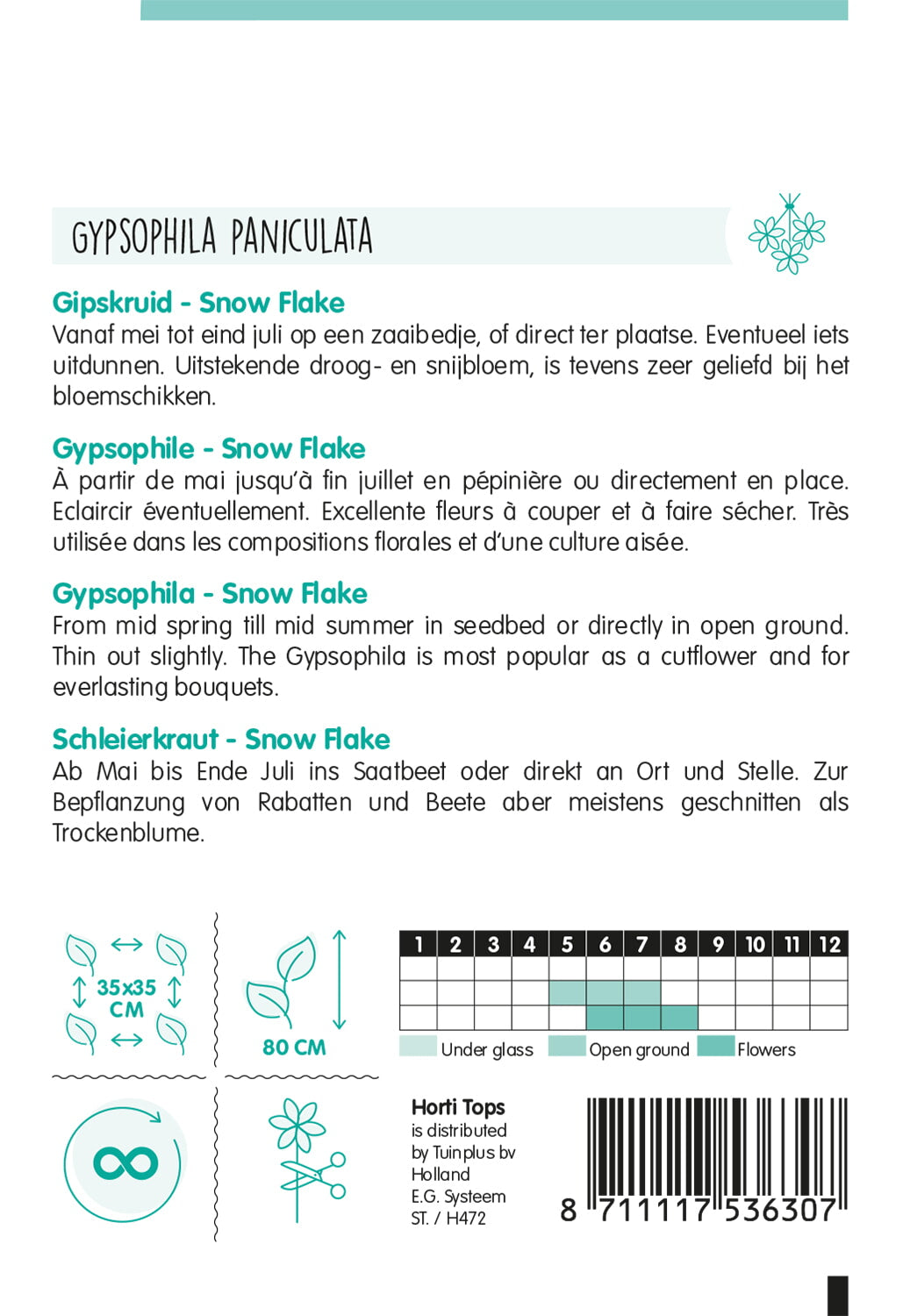 HT Gypsophila, Gipskruid Snow Flake dubbelbloemig wit