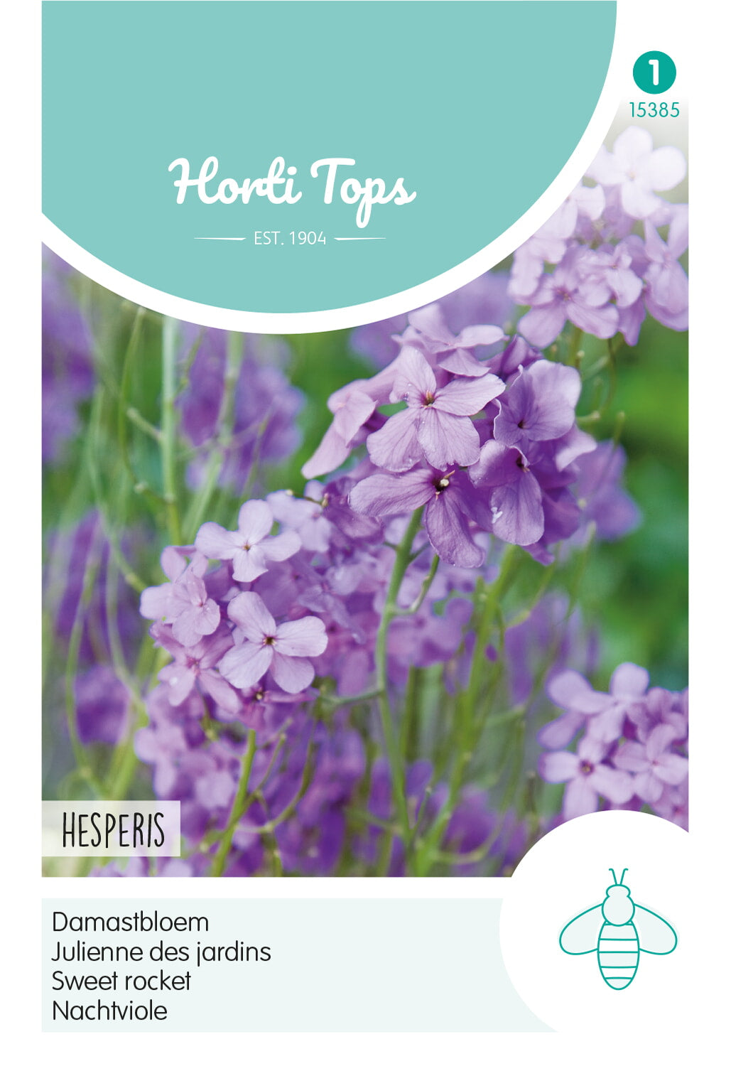 HT Hesperis, Damastbloem Violet