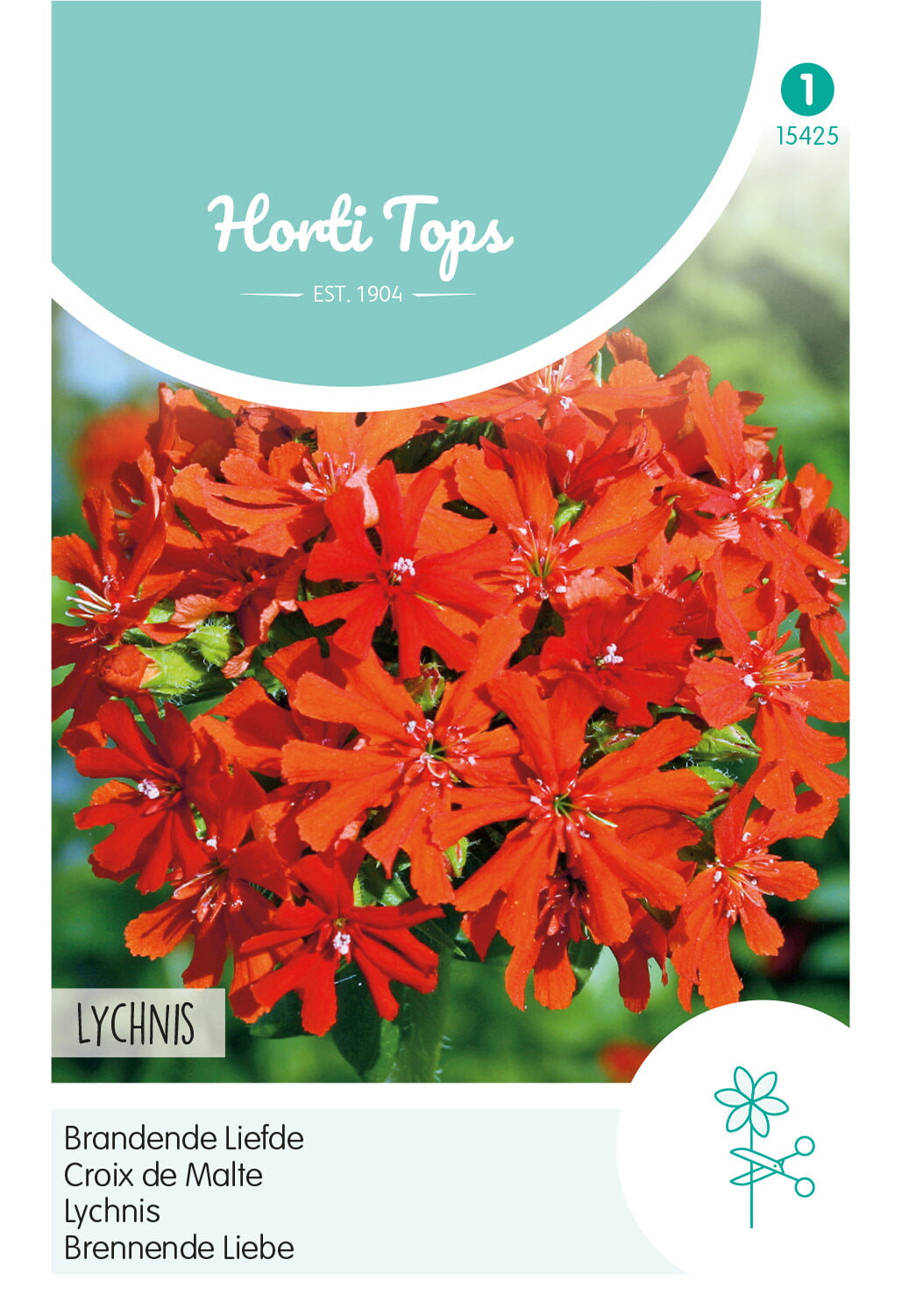 HT Lychnis, Brandende Liefde