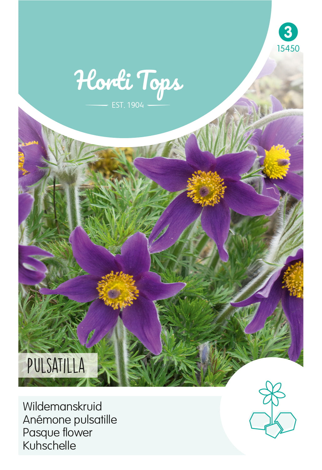 HT Pulsatilla, Wildemanskruid