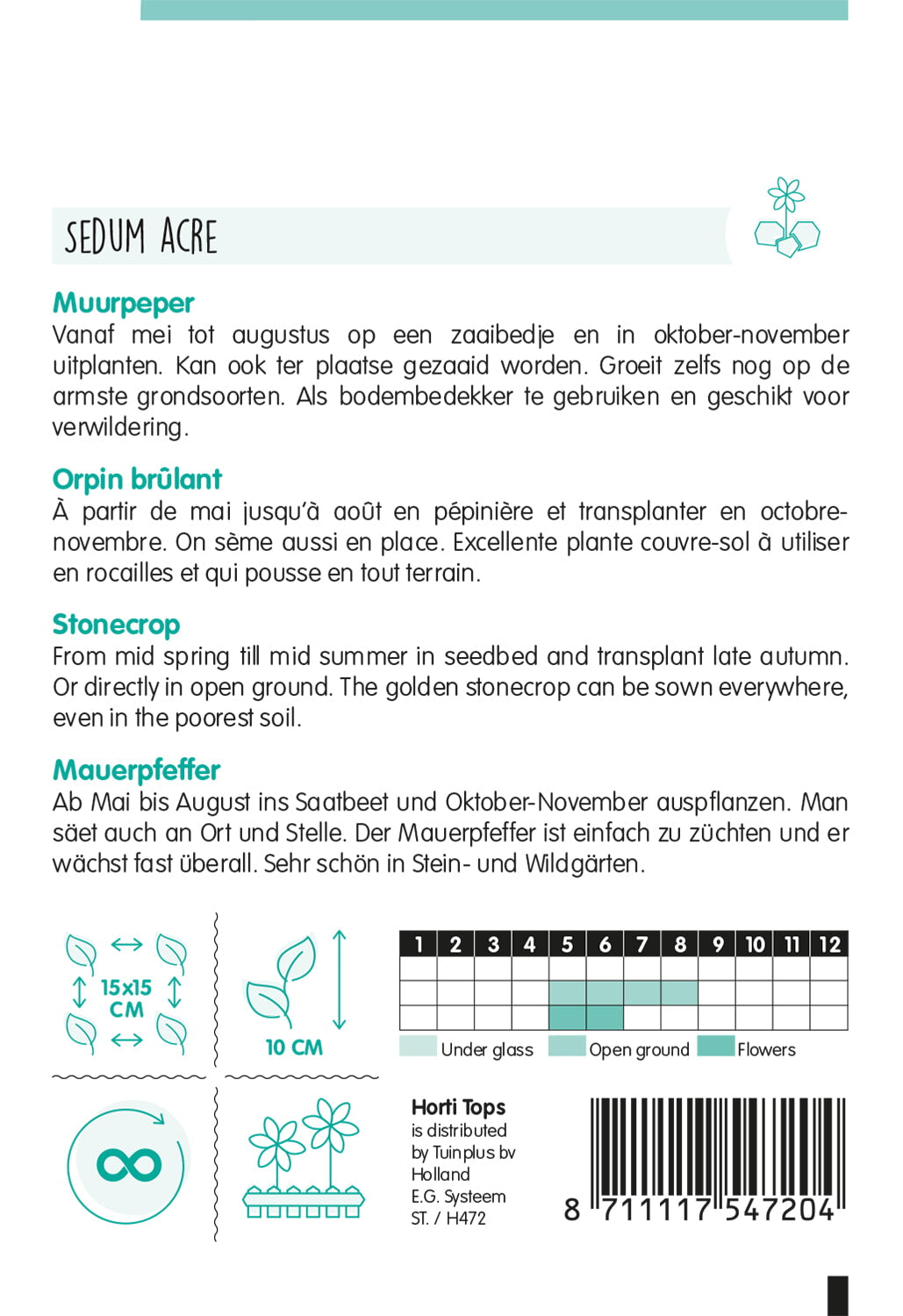 HT Sedum, Muurpeper geel