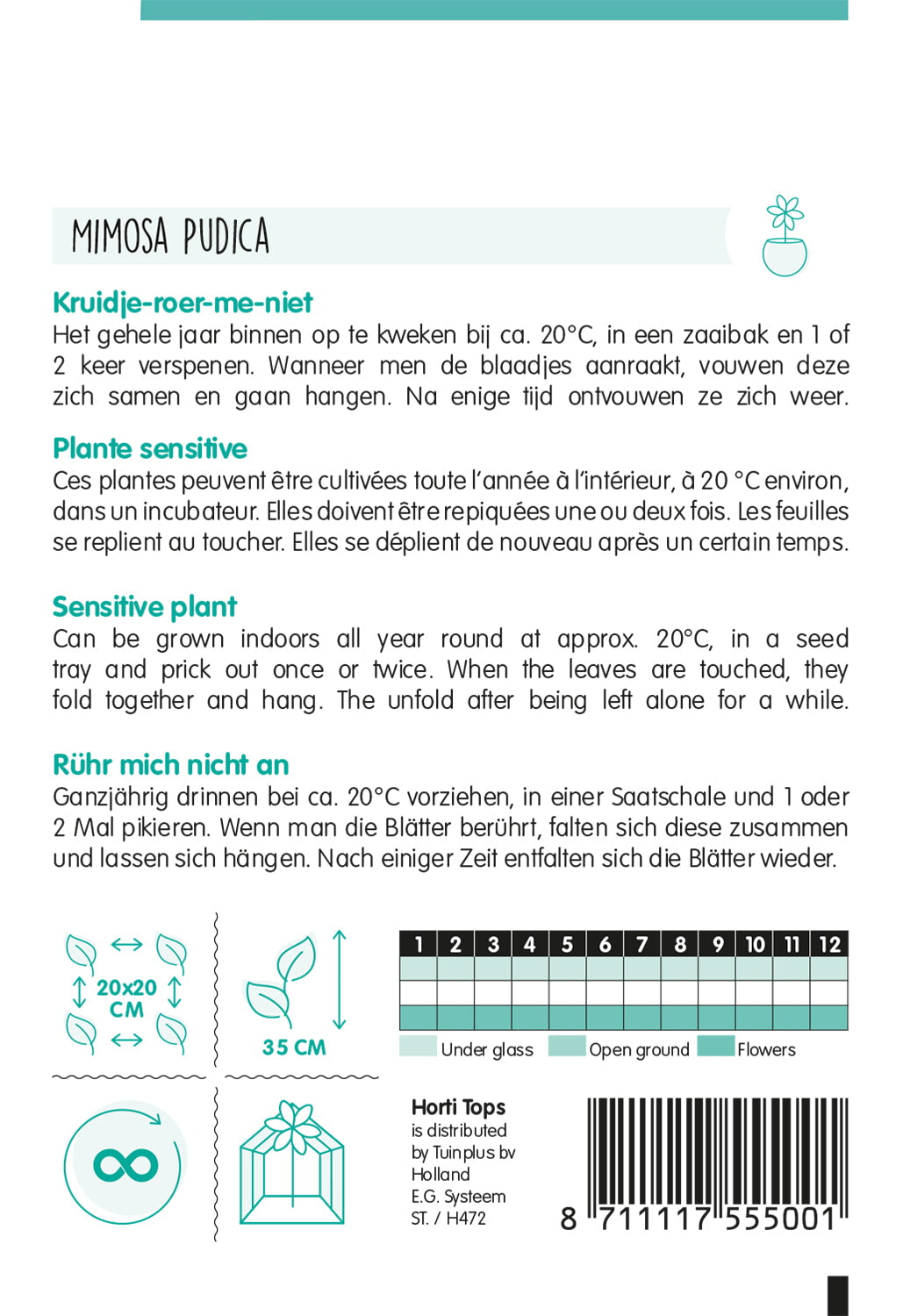 HT Mimosa Pudica, Kruidje-Roer-Me-Niet