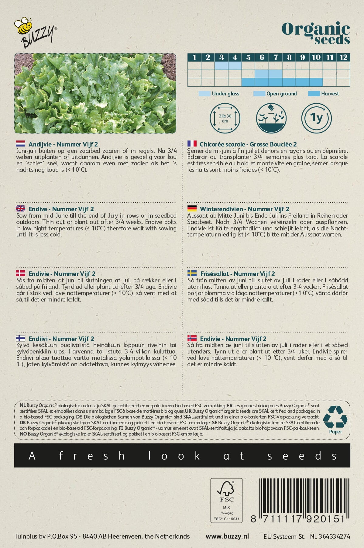 Buzzy® Organic Andijvie Breedblad Volhart Winter (BIO)