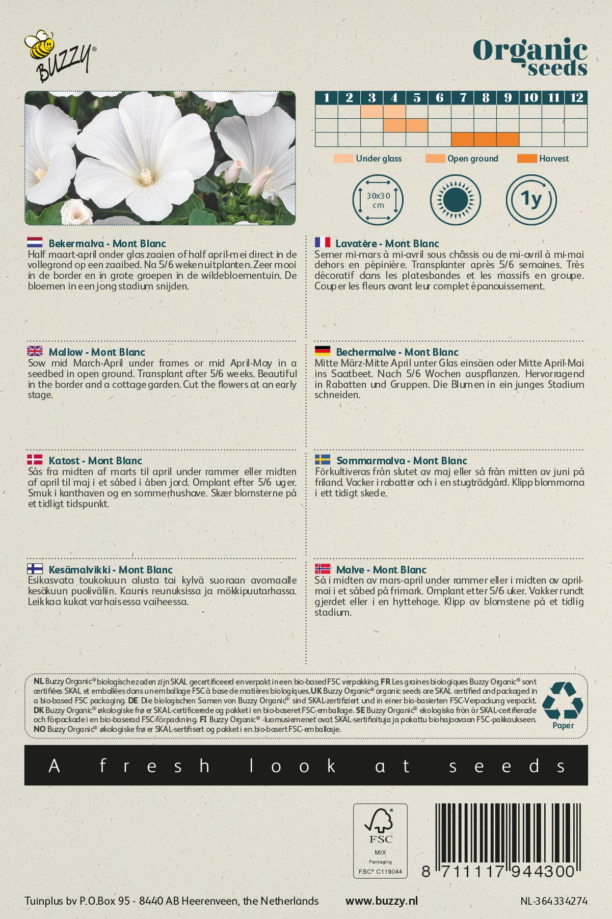 Buzzy® Organic Lavatera, Bekermalva Mont Blanc (BIO)