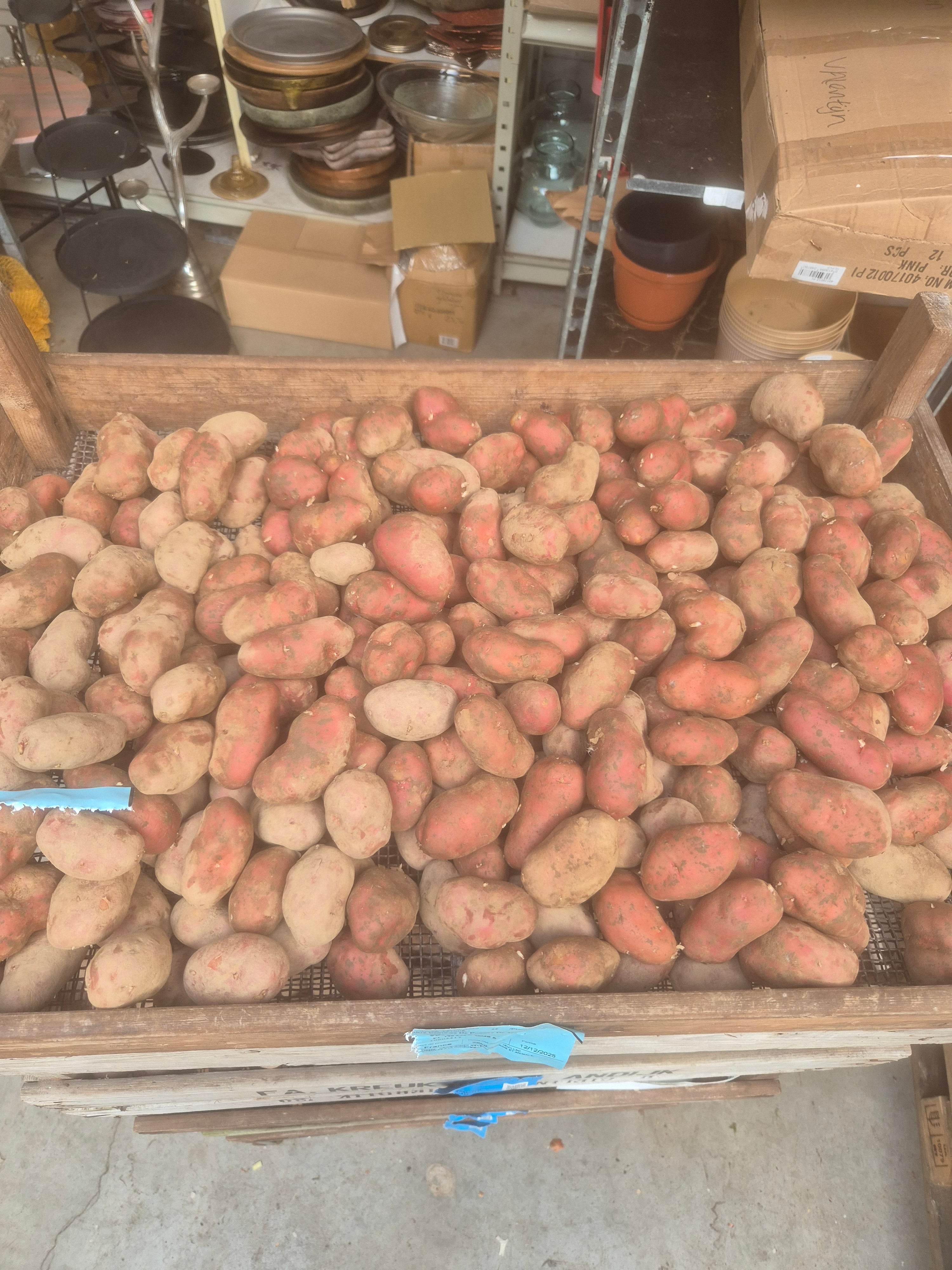 Roseval – A 32-40 pootgoed (per 1 kg)