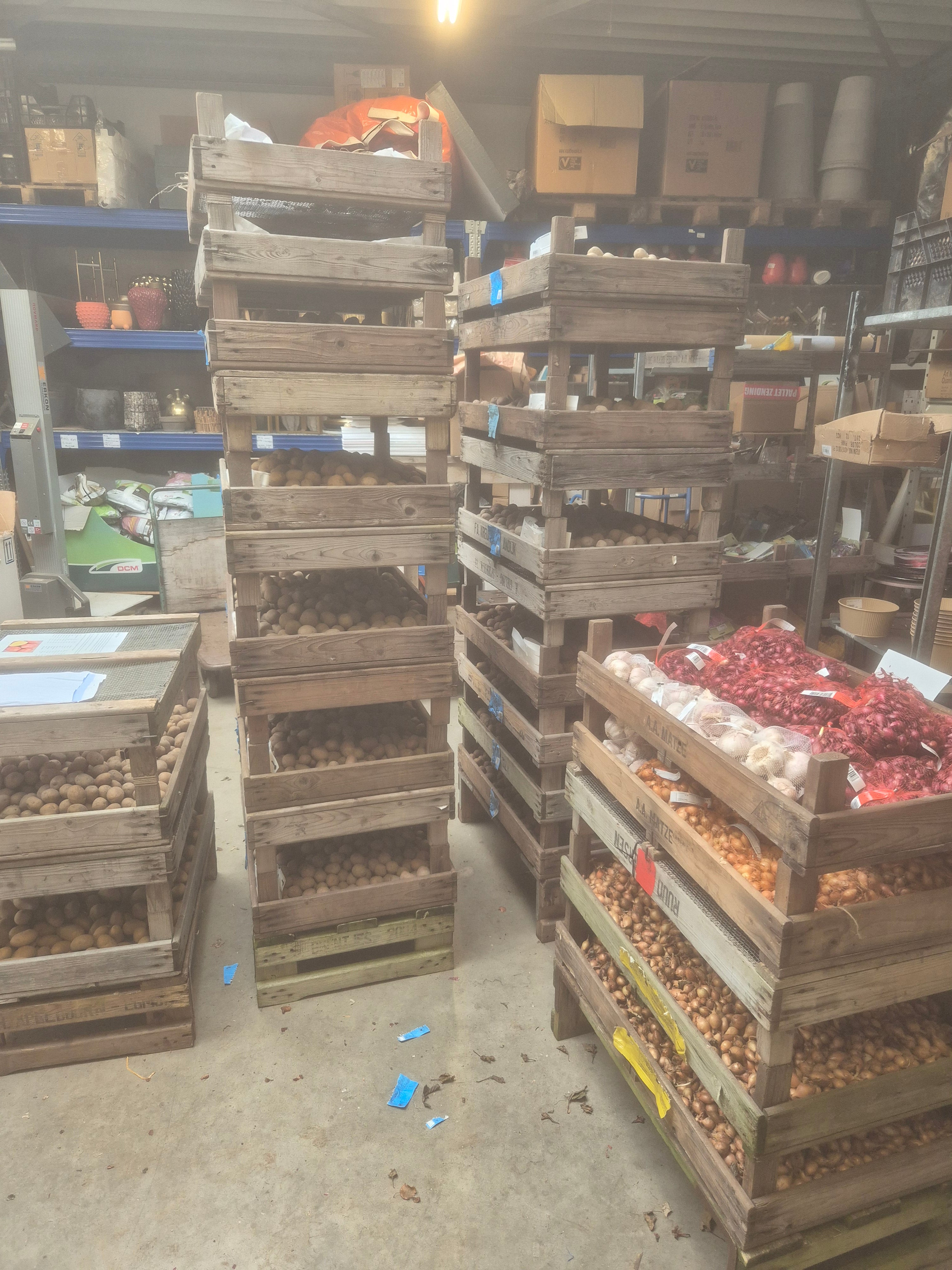 Roseval – A 32-40 pootgoed (per 1 kg)