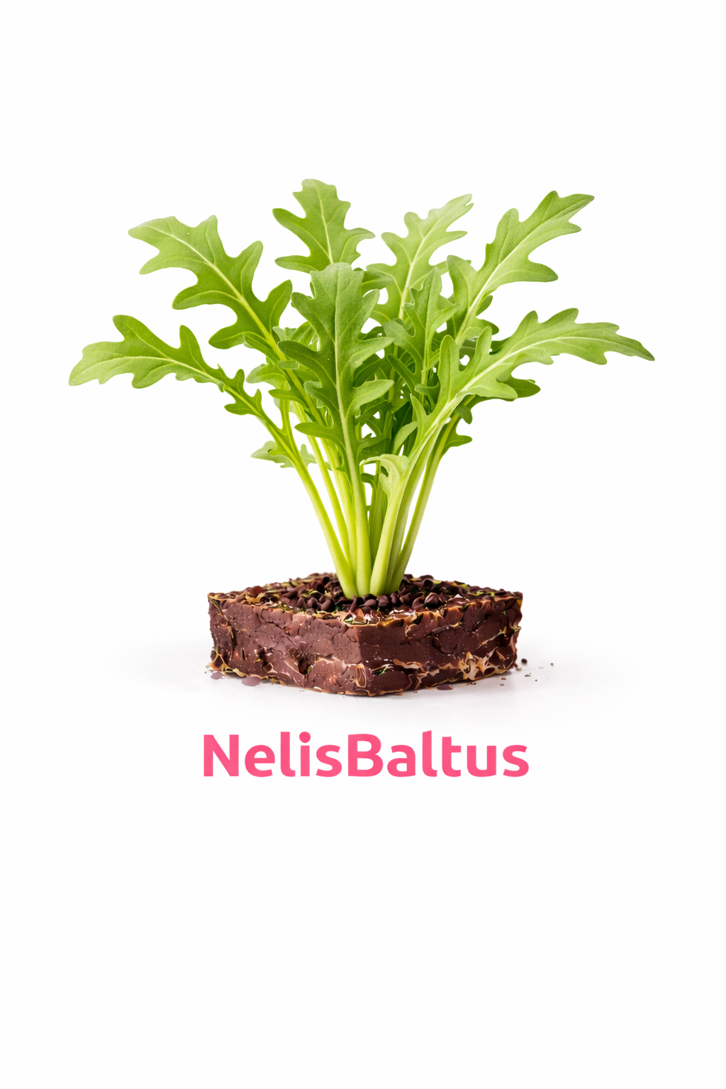 Rucola – 4x4 cm perskluit