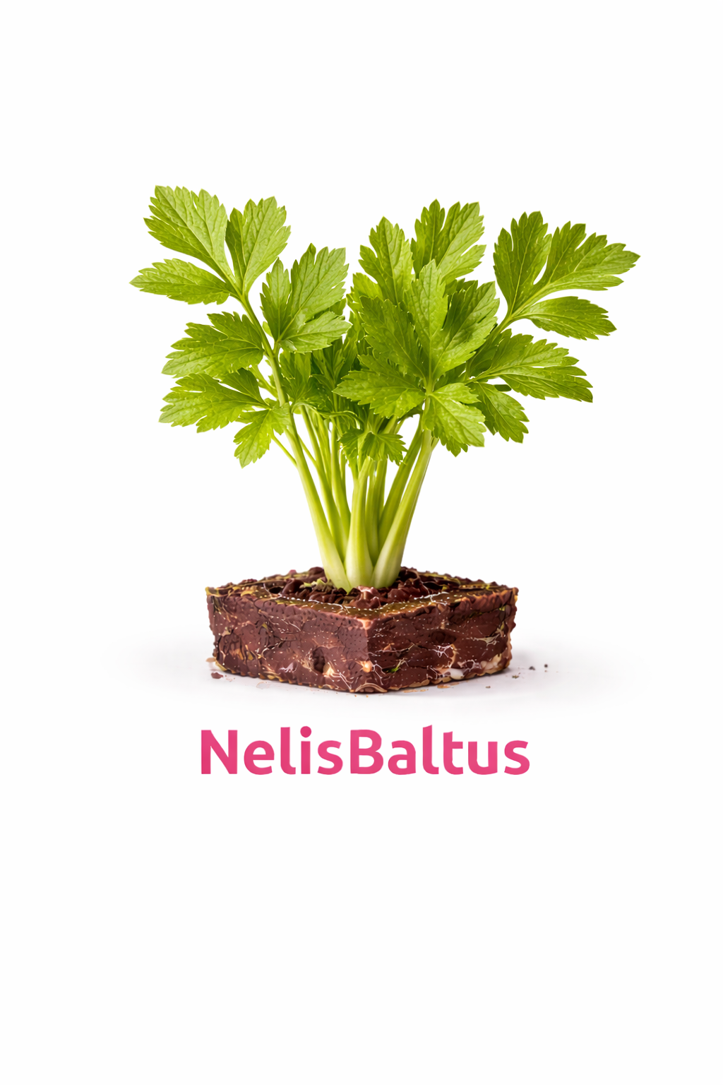 Snijselderij – 4x4 cm perskluit