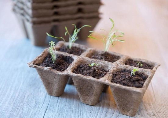 Nature - Biologisch afbreekbare turfpotjes - tray 6 vakken H5x5x5 cm - 10st.