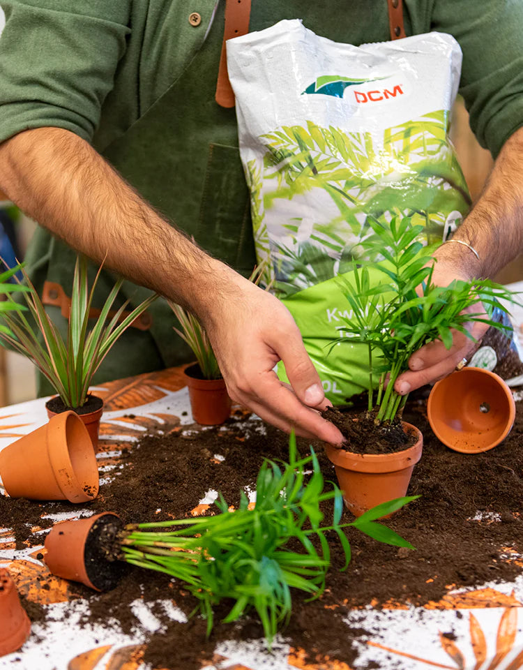 Automatisch alles met plant