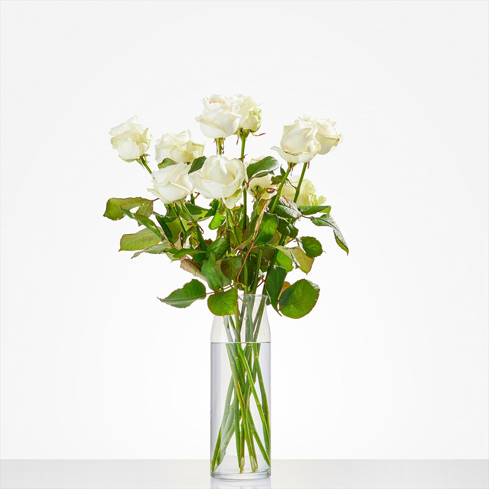 Rozen laten bezorgen in Baexem
