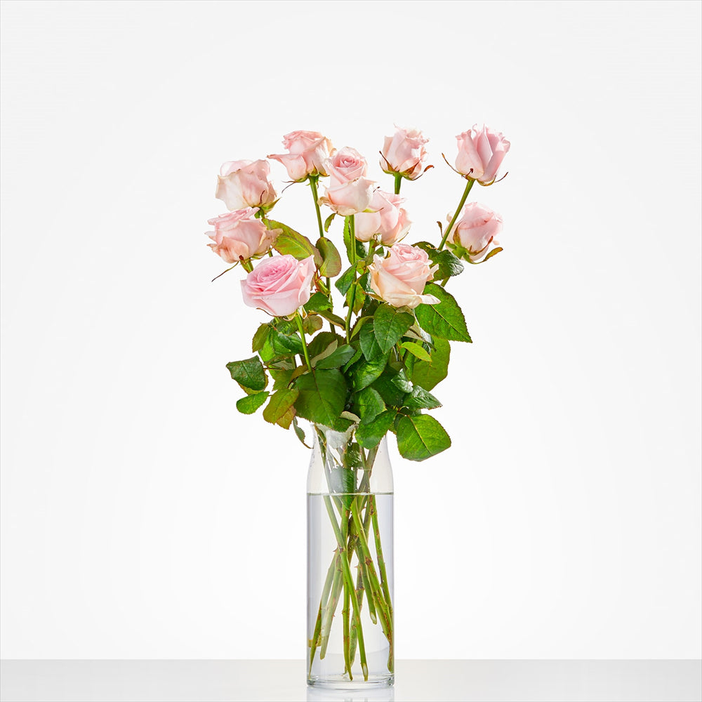 Rozen laten bezorgen in Oosterbeek