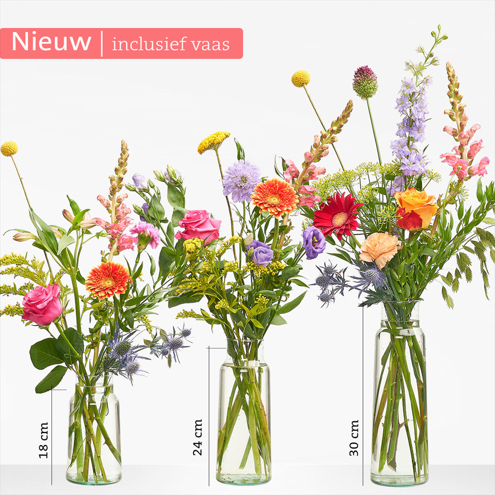 16,95 boeketten laten bezorgen in Coevorden