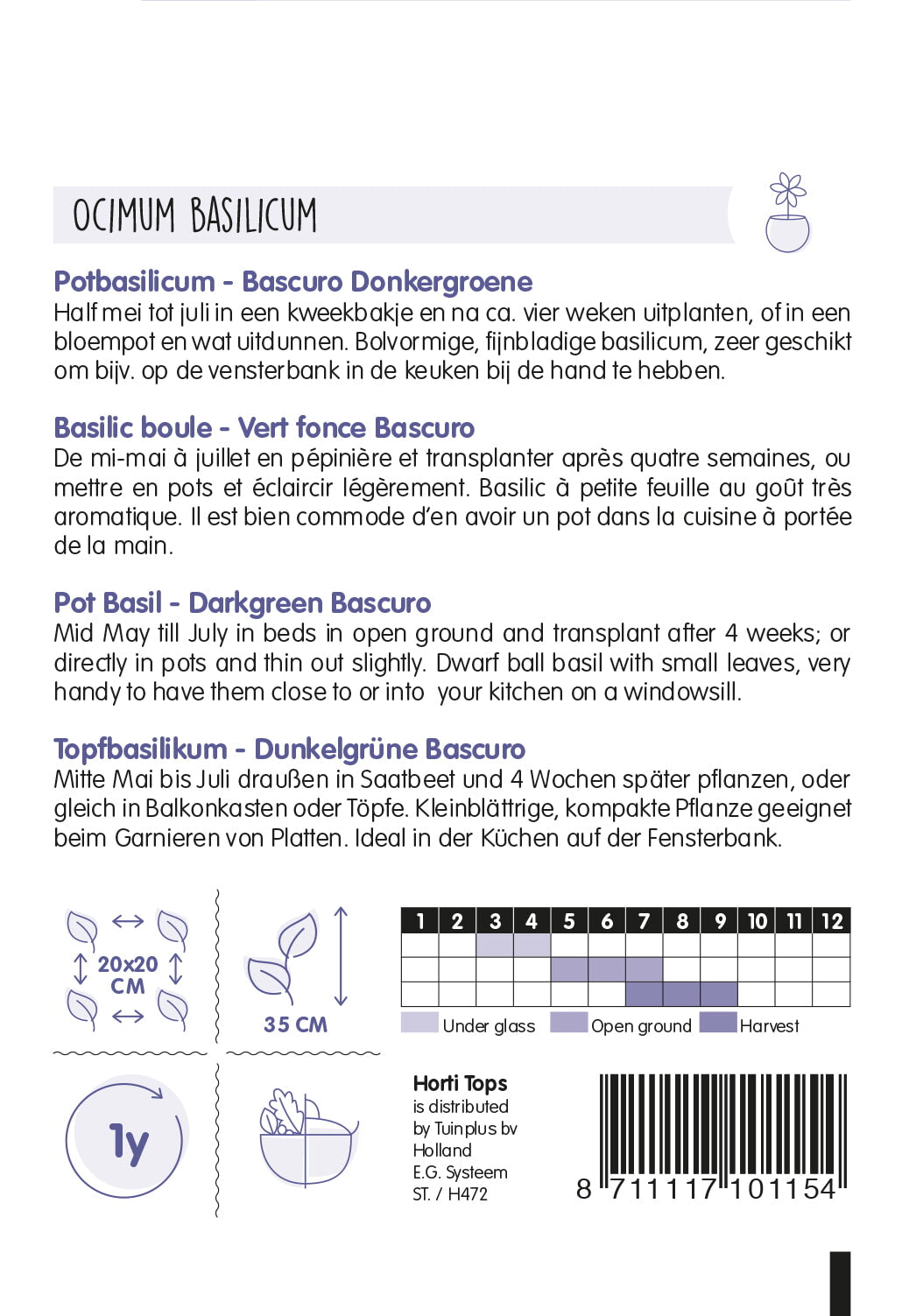 HT Pot-Basilicum Bascuro Griekse Donkergroene