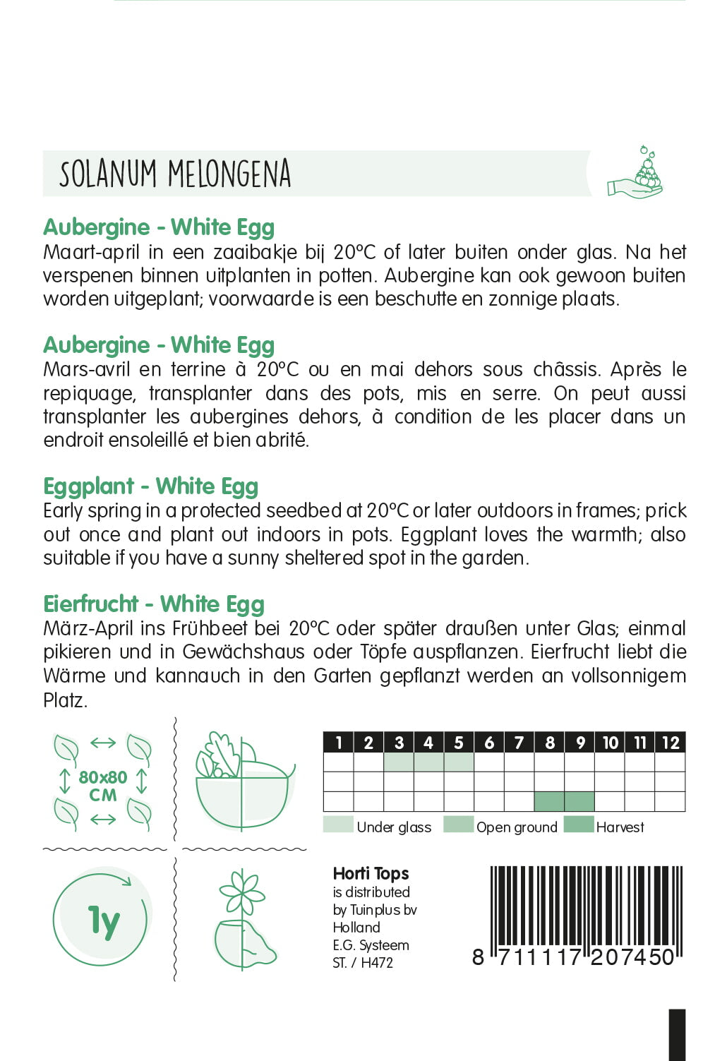 HT Aubergine White Egg